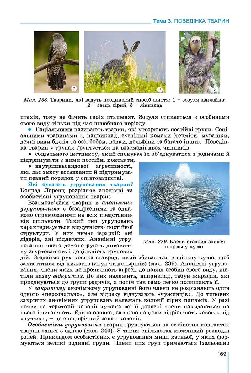 Сторінка 169 - Підручник Біологія 7 клас Остапченко 2020 - скачати