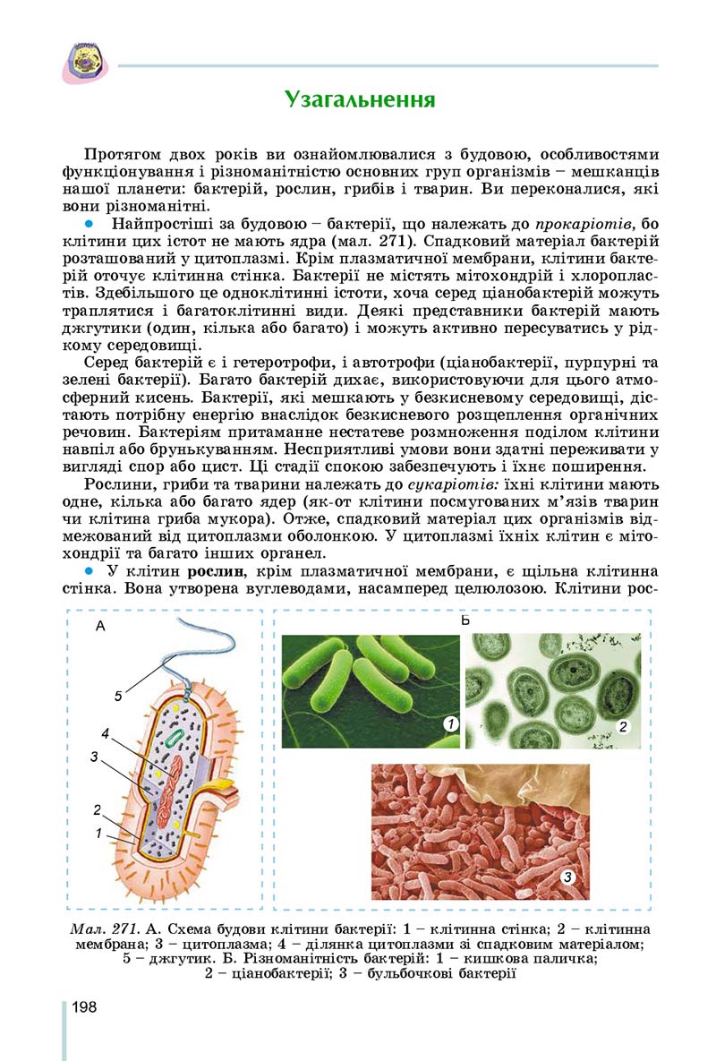 Сторінка 198 - Підручник Біологія 7 клас Остапченко 2020 - скачати