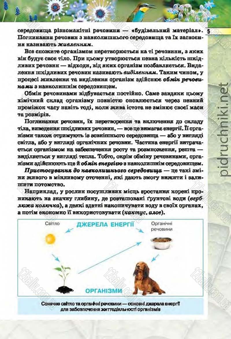 Сторінка 5 - Підручник Біологія 6 клас Костіков 2014 - скачати онлайн