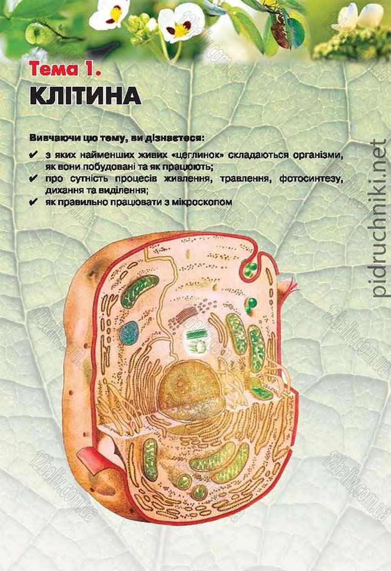 Сторінка 13 - Підручник Біологія 6 клас Костіков 2014 - скачати онлайн