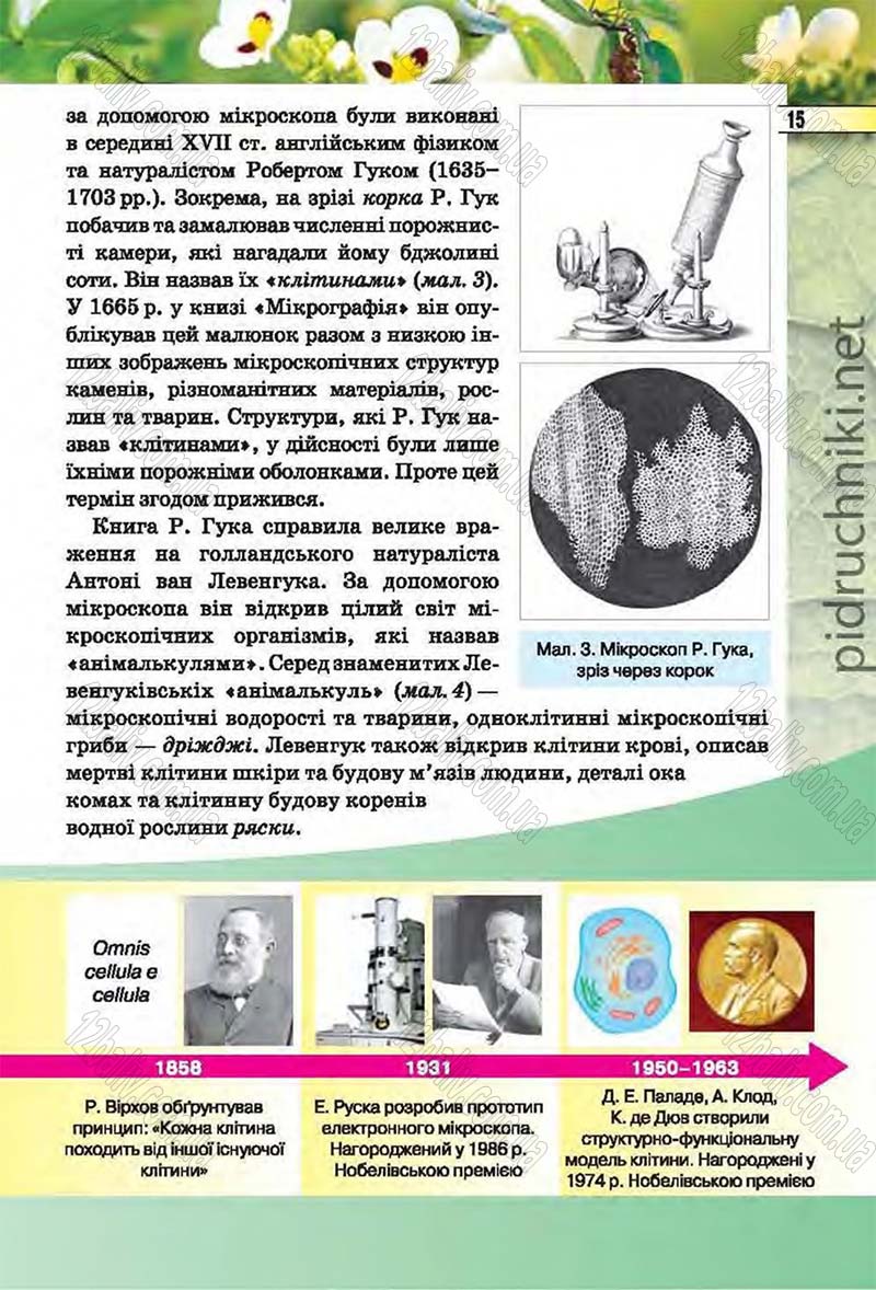 Сторінка 15 - Підручник Біологія 6 клас Костіков 2014 - скачати онлайн
