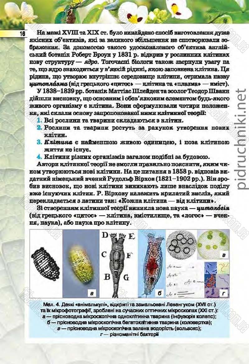 Сторінка 16 - Підручник Біологія 6 клас Костіков 2014 - скачати онлайн