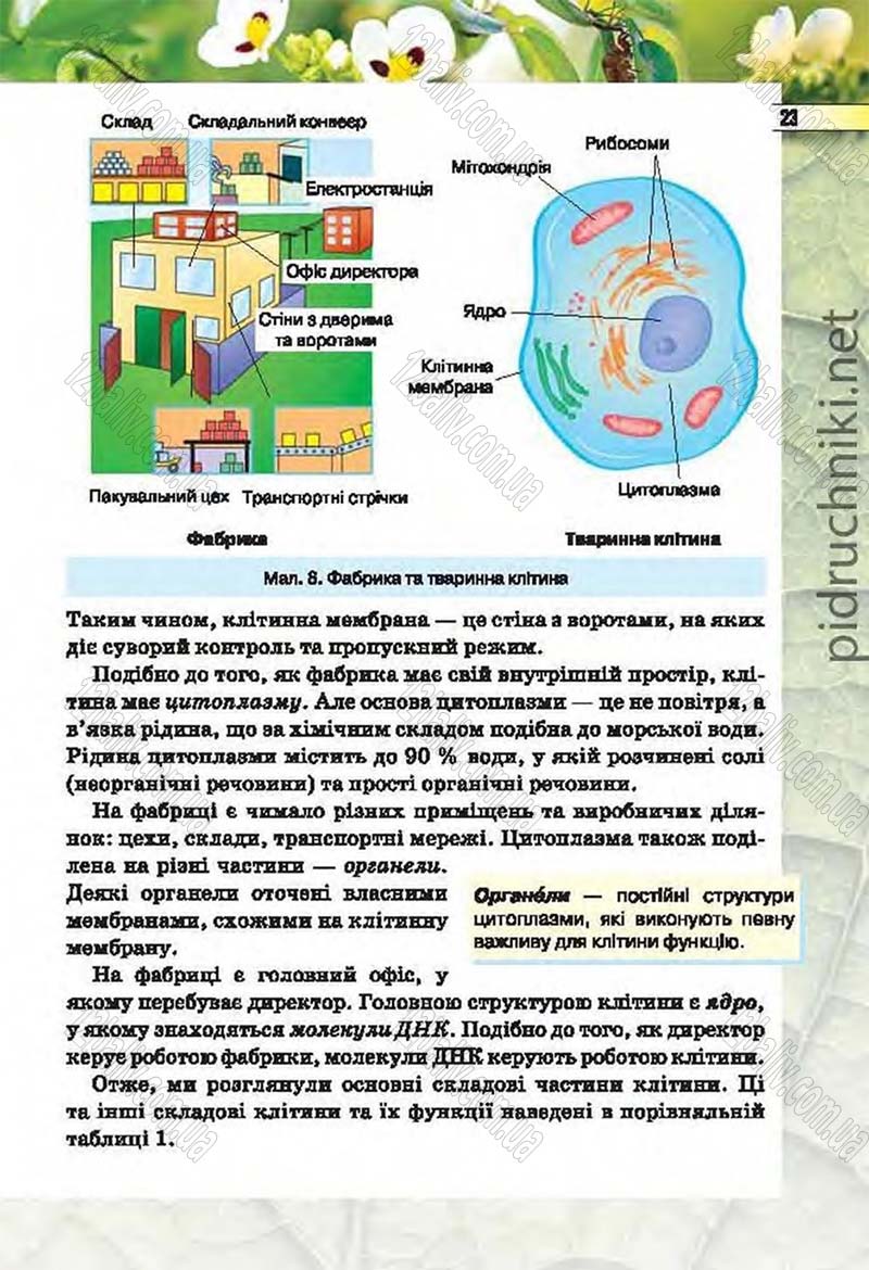 Сторінка 23 - Підручник Біологія 6 клас Костіков 2014 - скачати онлайн