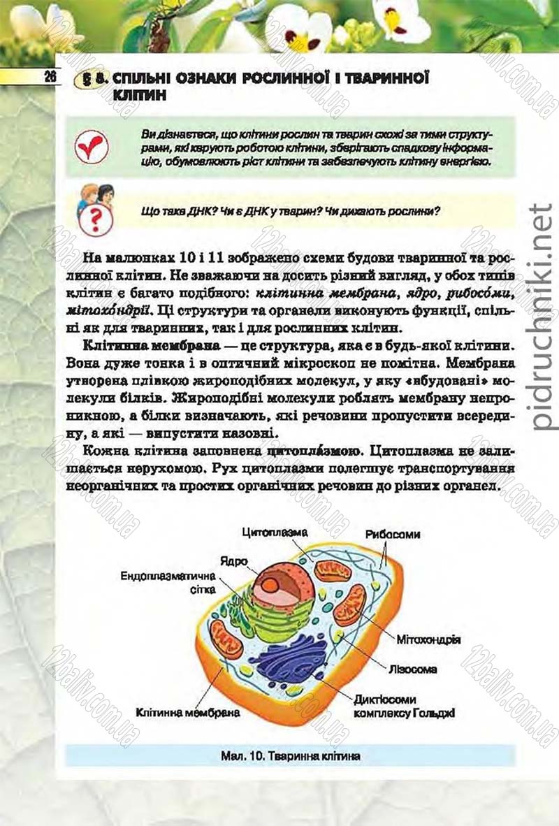 Сторінка 26 - Підручник Біологія 6 клас Костіков 2014 - скачати онлайн