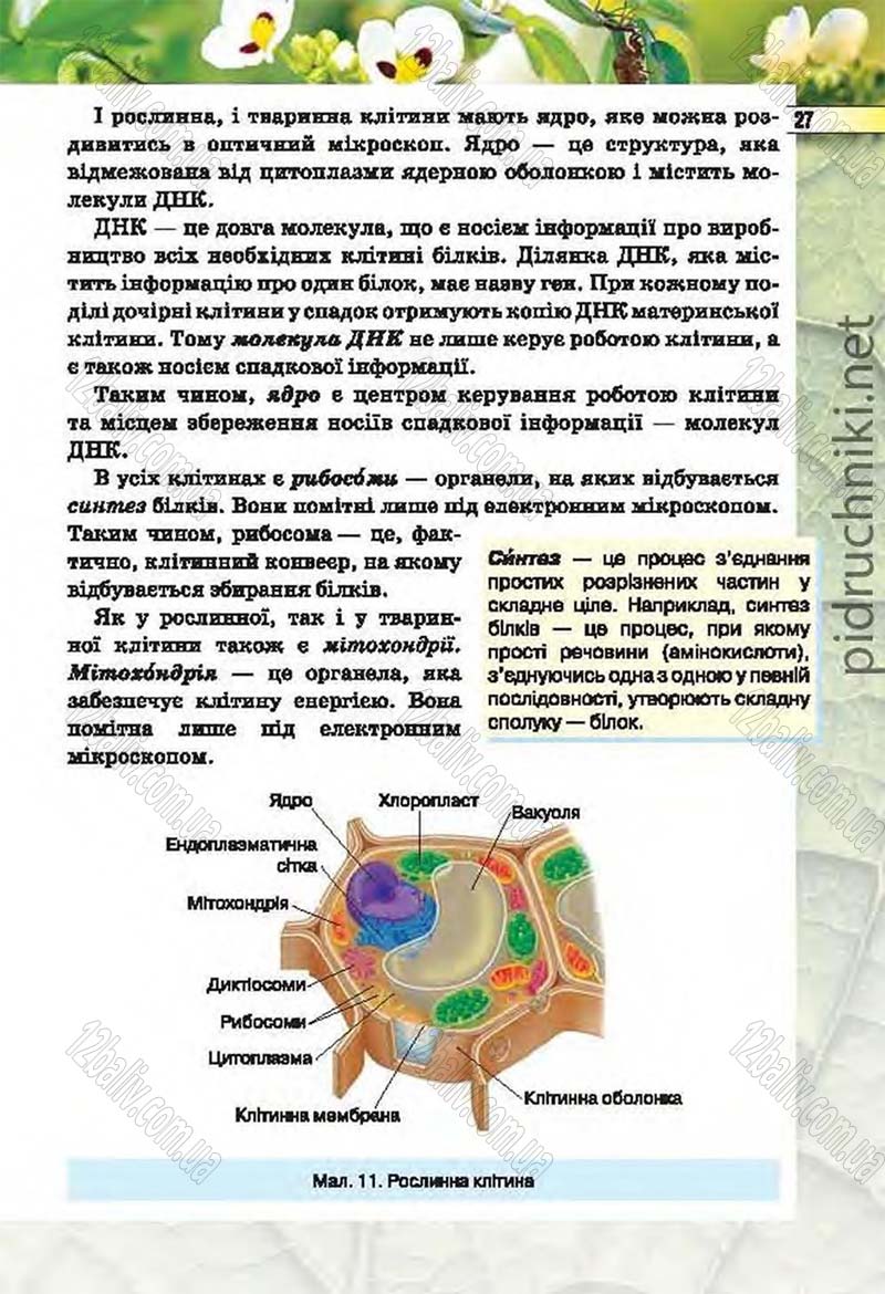 Сторінка 27 - Підручник Біологія 6 клас Костіков 2014 - скачати онлайн
