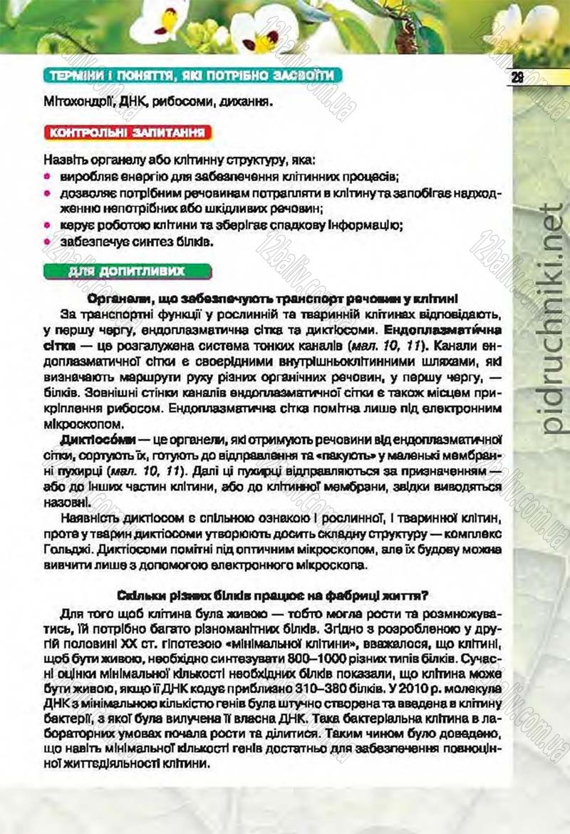 Сторінка 29 - Підручник Біологія 6 клас Костіков 2014 - скачати онлайн