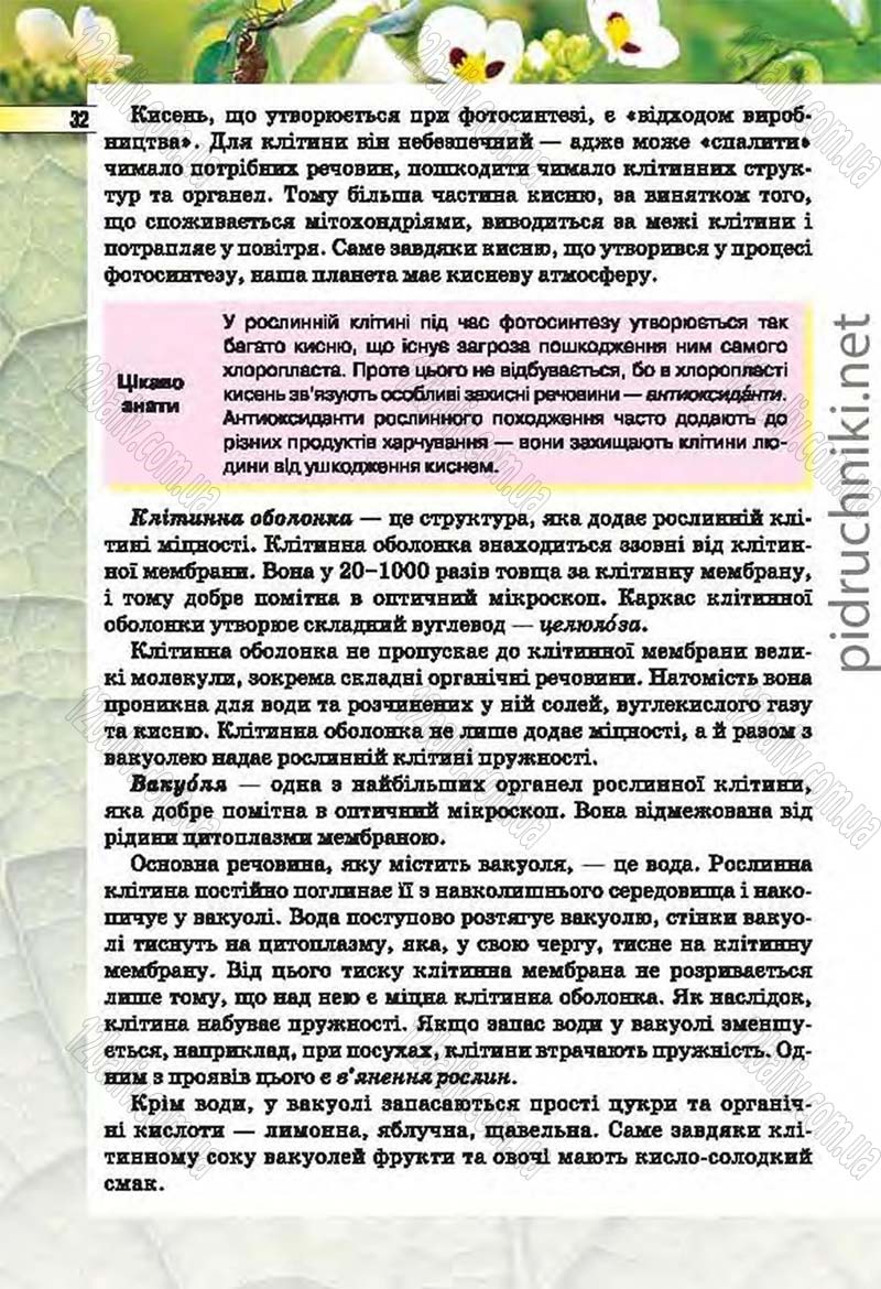 Сторінка 32 - Підручник Біологія 6 клас Костіков 2014 - скачати онлайн