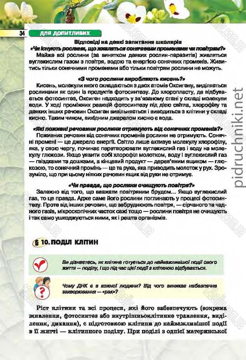 Сторінка 34 - Підручник Біологія 6 клас Костіков 2014 - скачати онлайн