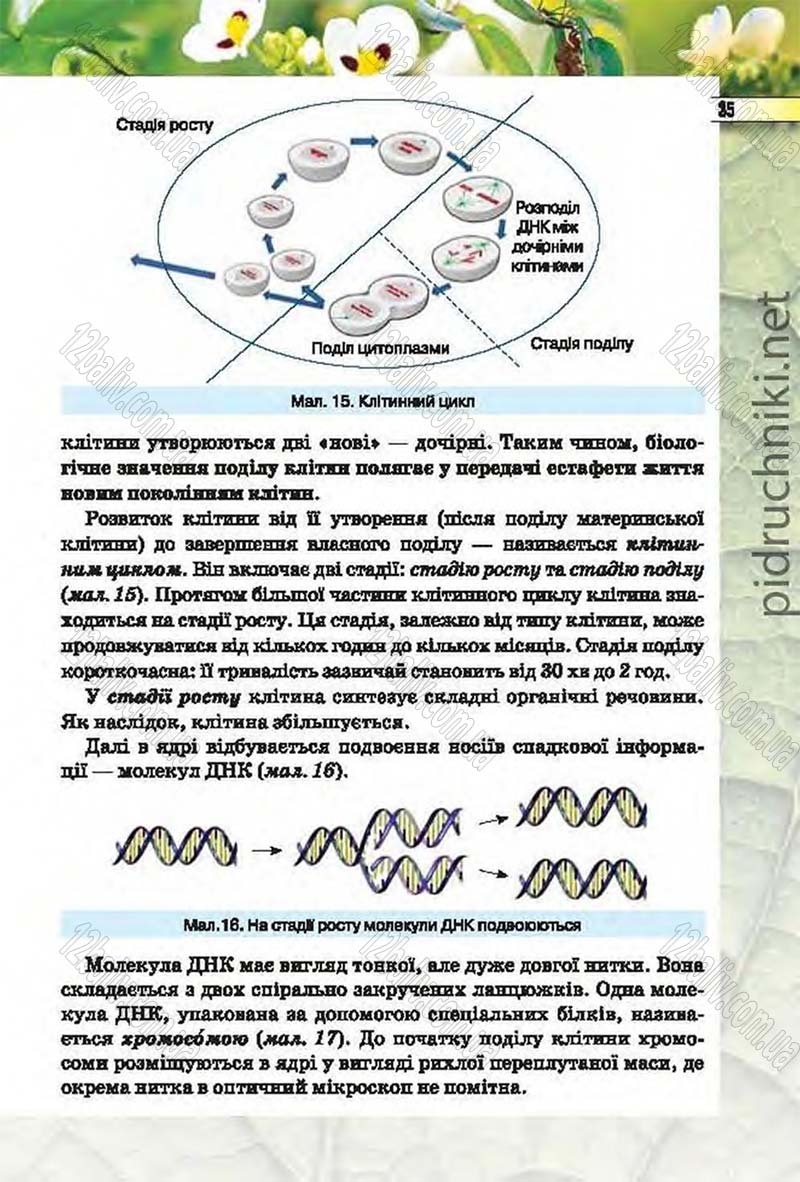 Сторінка 35 - Підручник Біологія 6 клас Костіков 2014 - скачати онлайн
