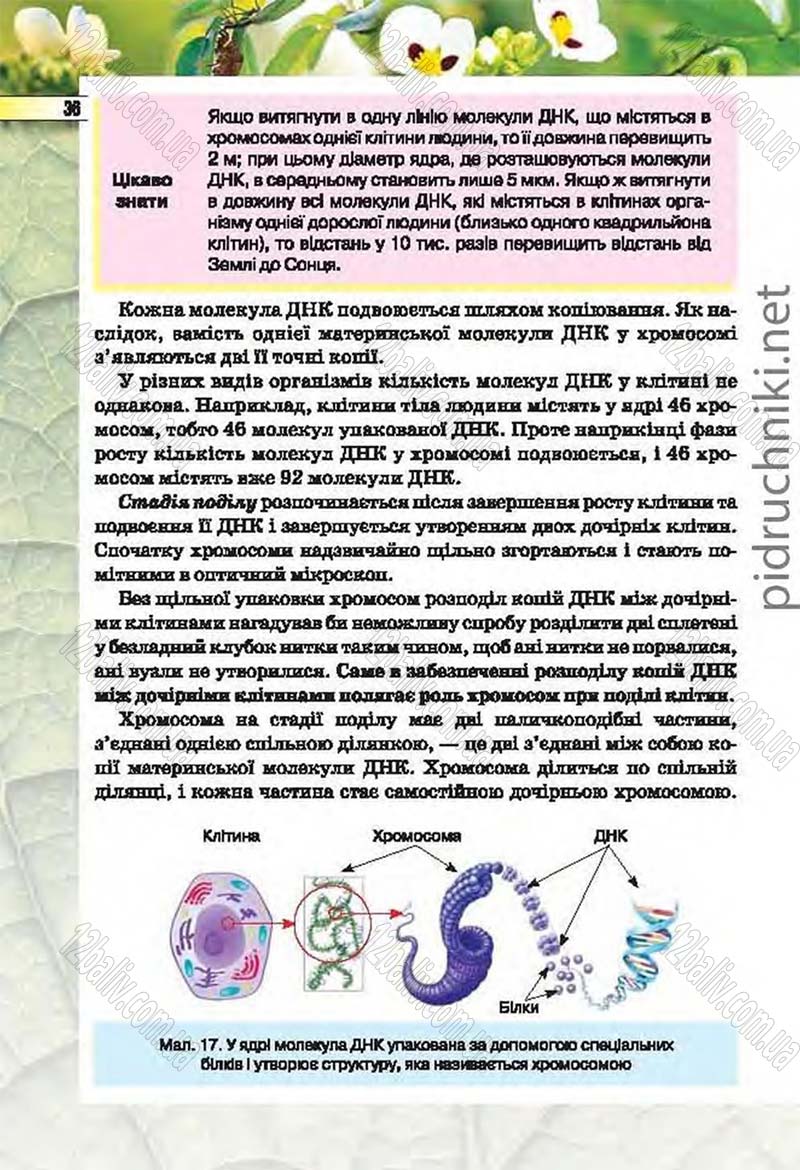 Сторінка 36 - Підручник Біологія 6 клас Костіков 2014 - скачати онлайн