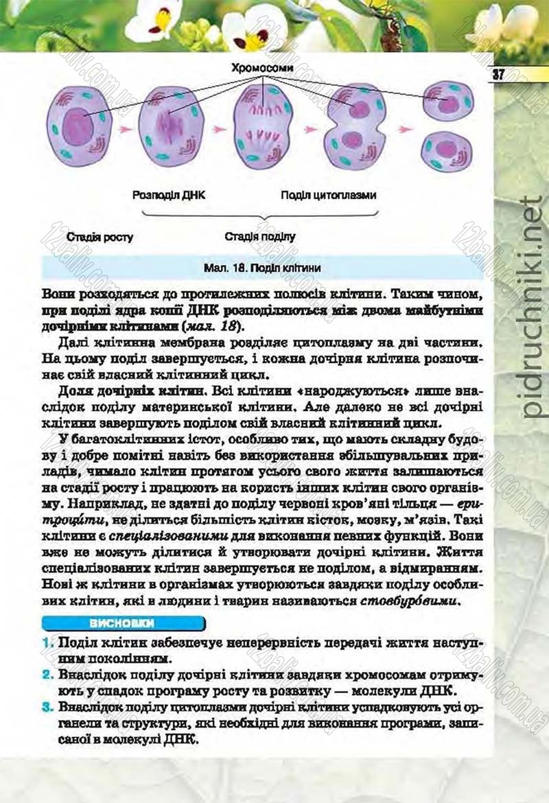 Сторінка 37 - Підручник Біологія 6 клас Костіков 2014 - скачати онлайн
