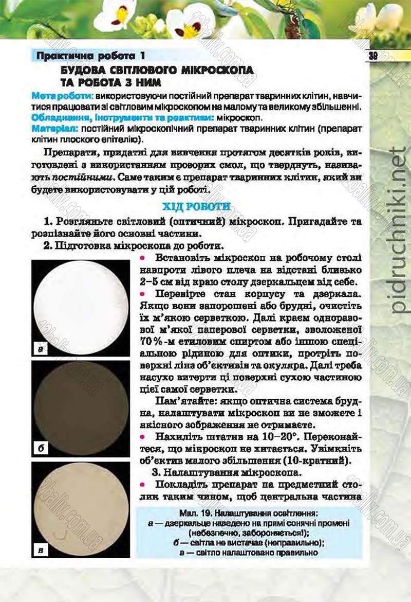 Сторінка 39 - Підручник Біологія 6 клас Костіков 2014 - скачати онлайн