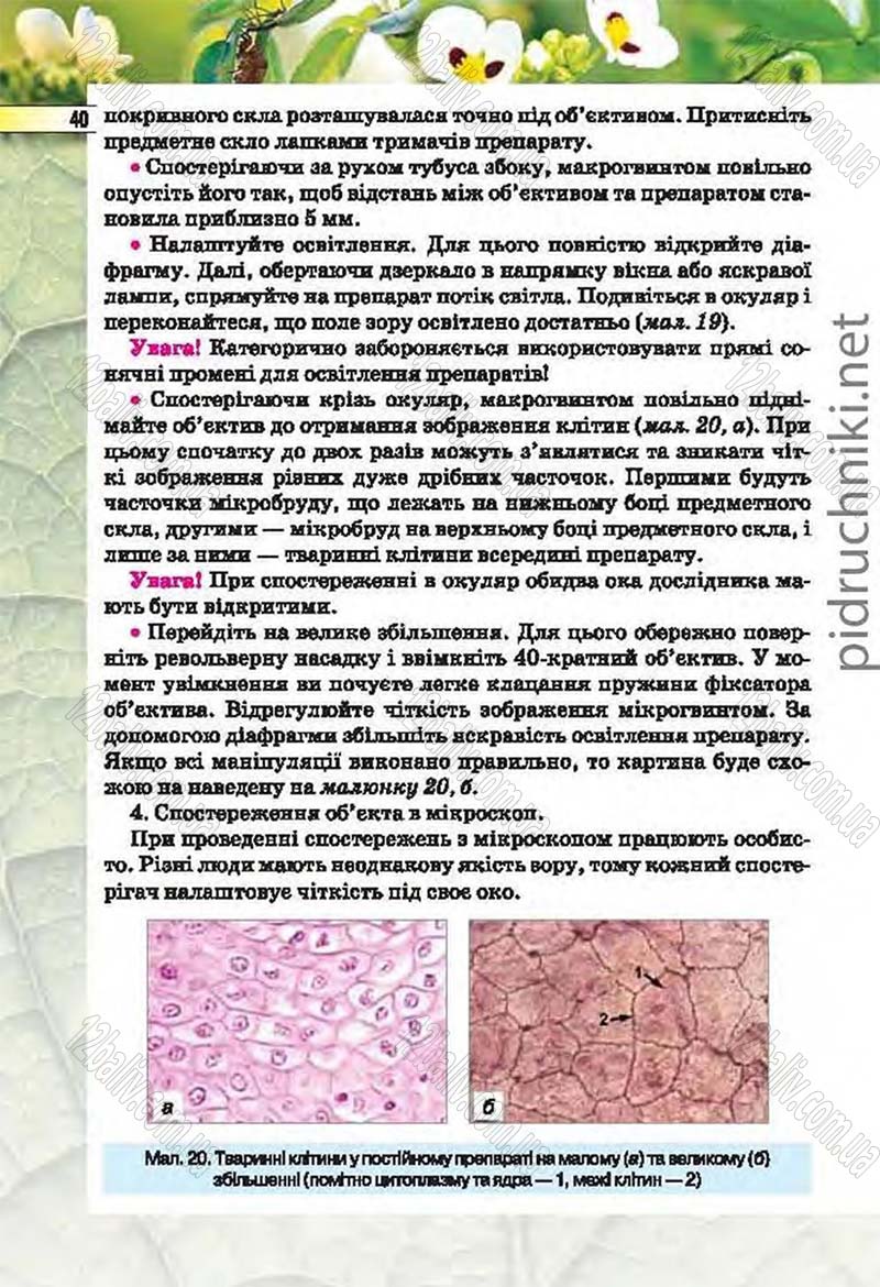 Сторінка 40 - Підручник Біологія 6 клас Костіков 2014 - скачати онлайн