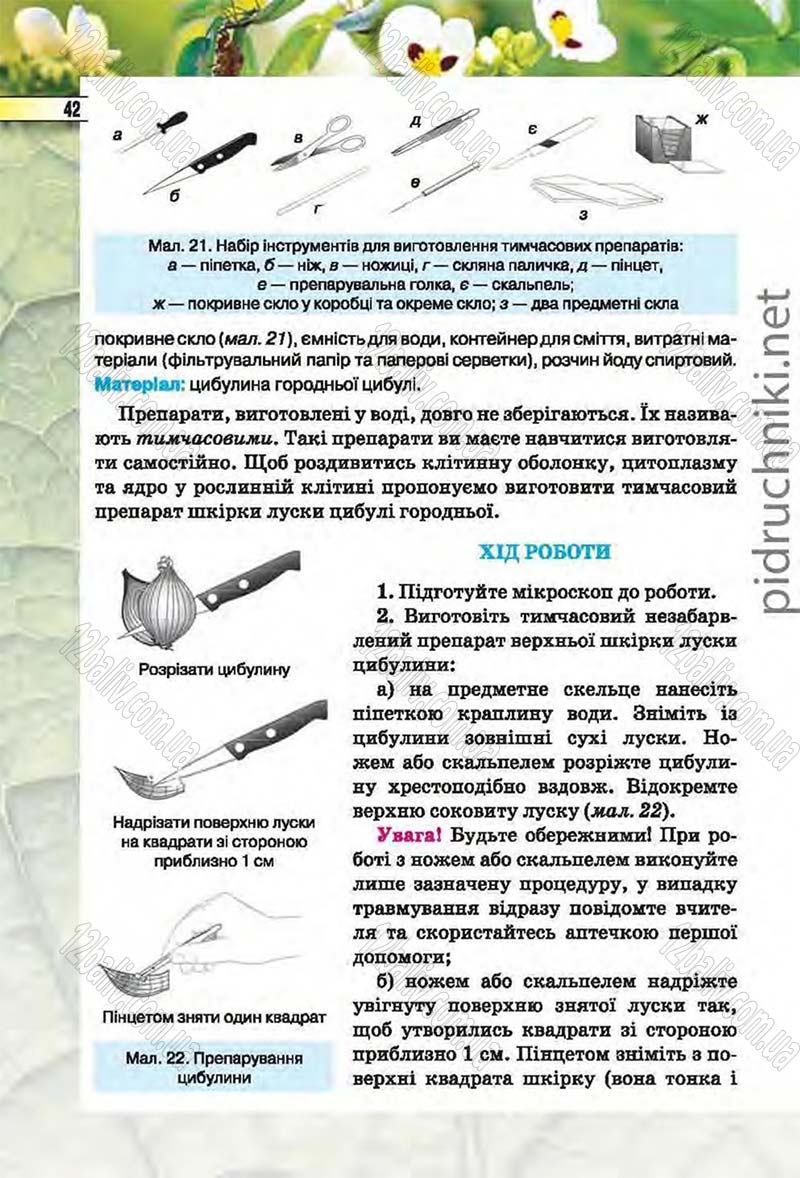 Сторінка 42 - Підручник Біологія 6 клас Костіков 2014 - скачати онлайн