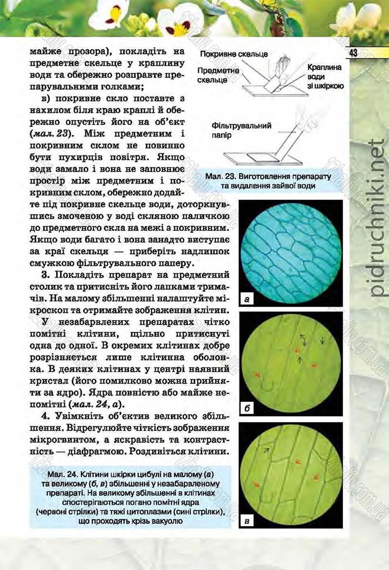 Сторінка 43 - Підручник Біологія 6 клас Костіков 2014 - скачати онлайн