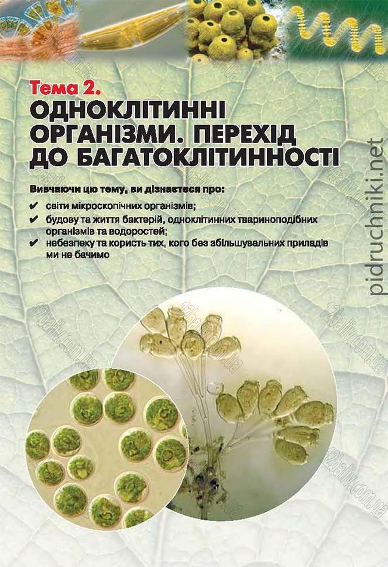 Сторінка 47 - Підручник Біологія 6 клас Костіков 2014 - скачати онлайн