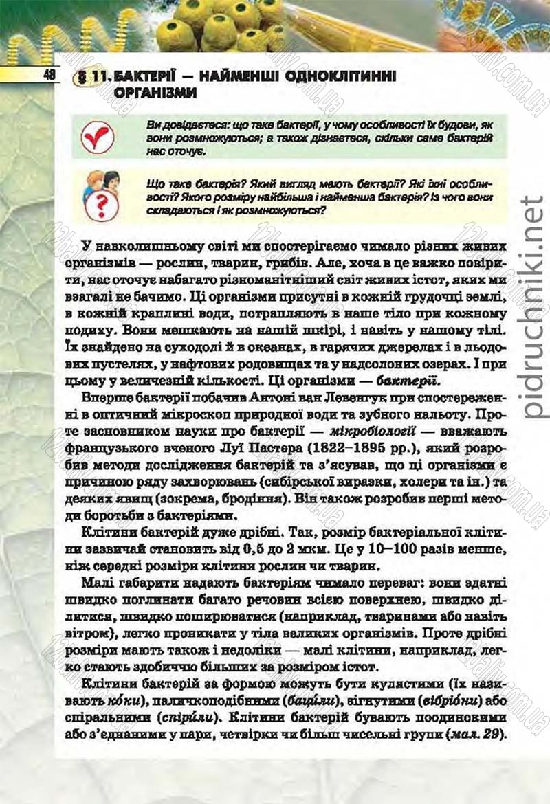 Сторінка 48 - Підручник Біологія 6 клас Костіков 2014 - скачати онлайн