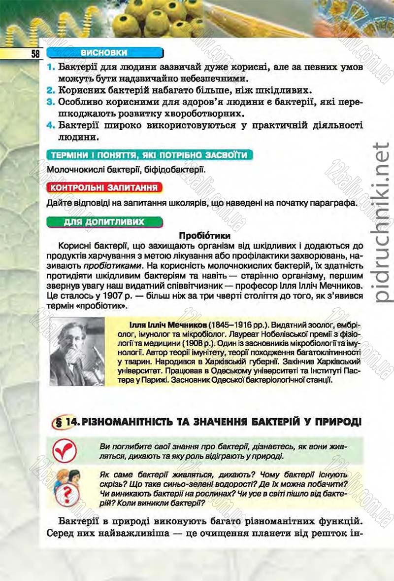 Сторінка 58 - Підручник Біологія 6 клас Костіков 2014 - скачати онлайн