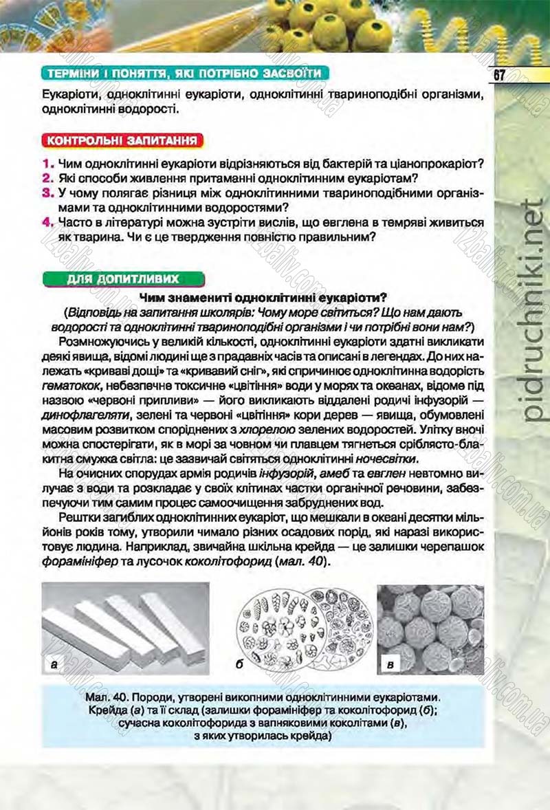Сторінка 67 - Підручник Біологія 6 клас Костіков 2014 - скачати онлайн