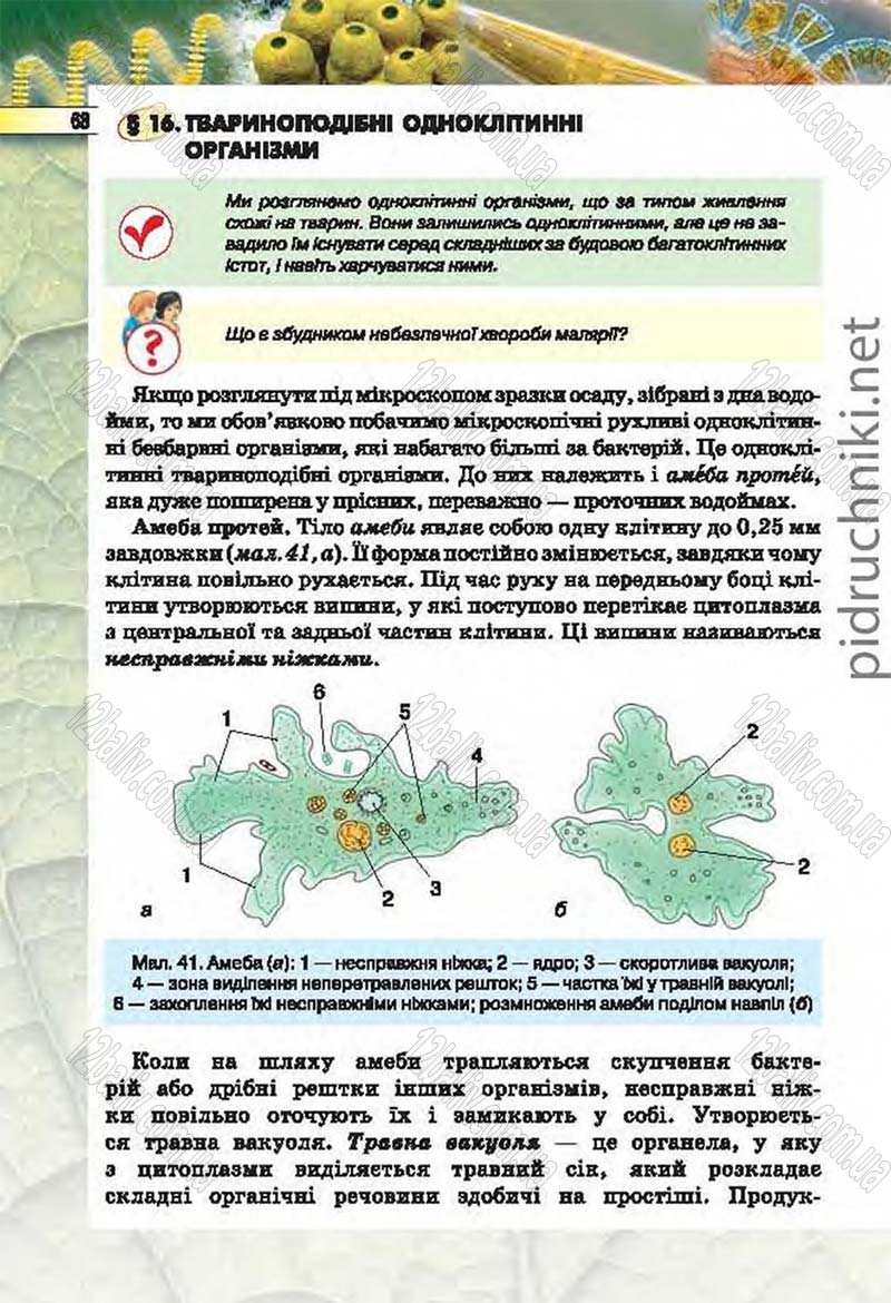 Сторінка 68 - Підручник Біологія 6 клас Костіков 2014 - скачати онлайн
