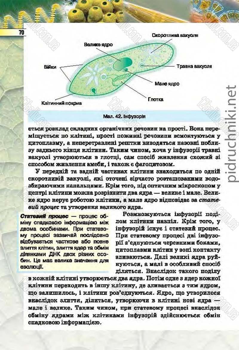 Сторінка 70 - Підручник Біологія 6 клас Костіков 2014 - скачати онлайн