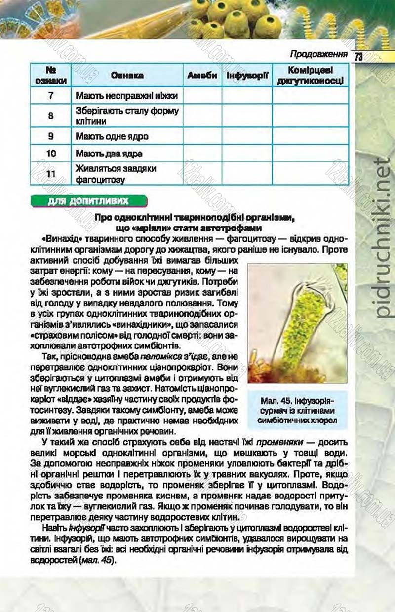 Сторінка 73 - Підручник Біологія 6 клас Костіков 2014 - скачати онлайн