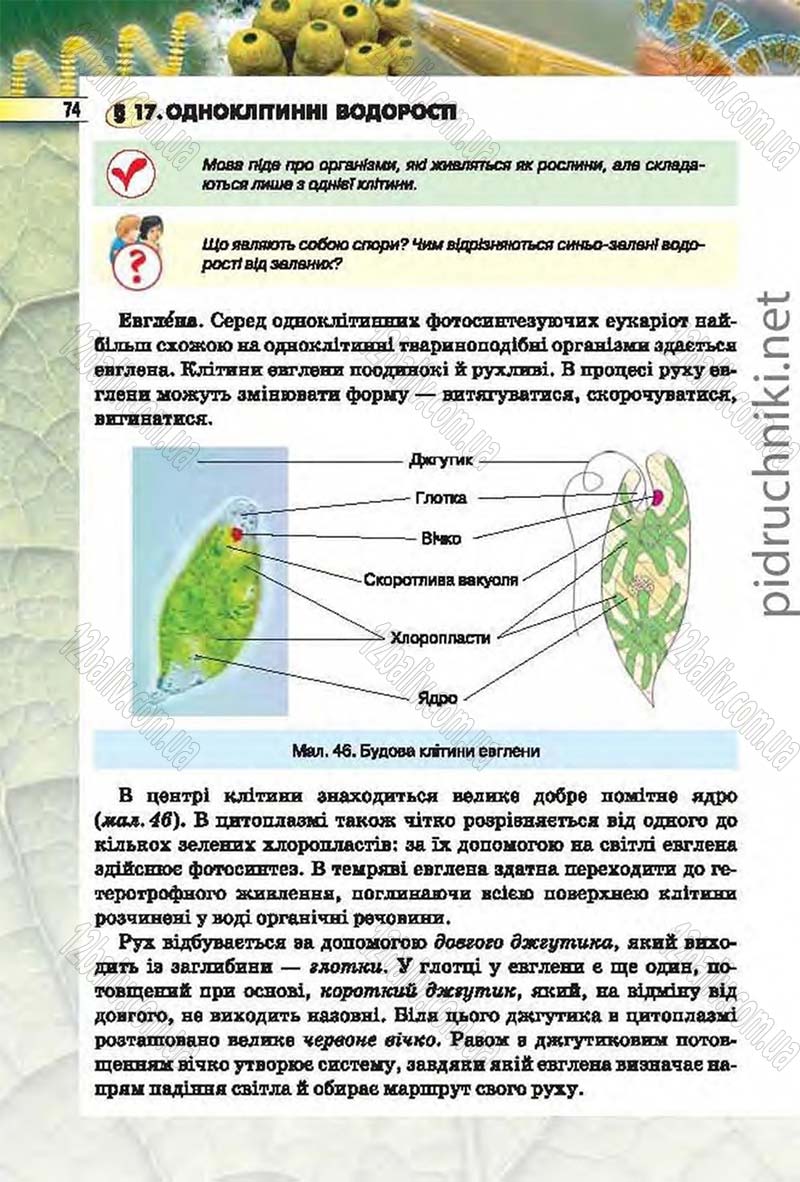 Сторінка 74 - Підручник Біологія 6 клас Костіков 2014 - скачати онлайн