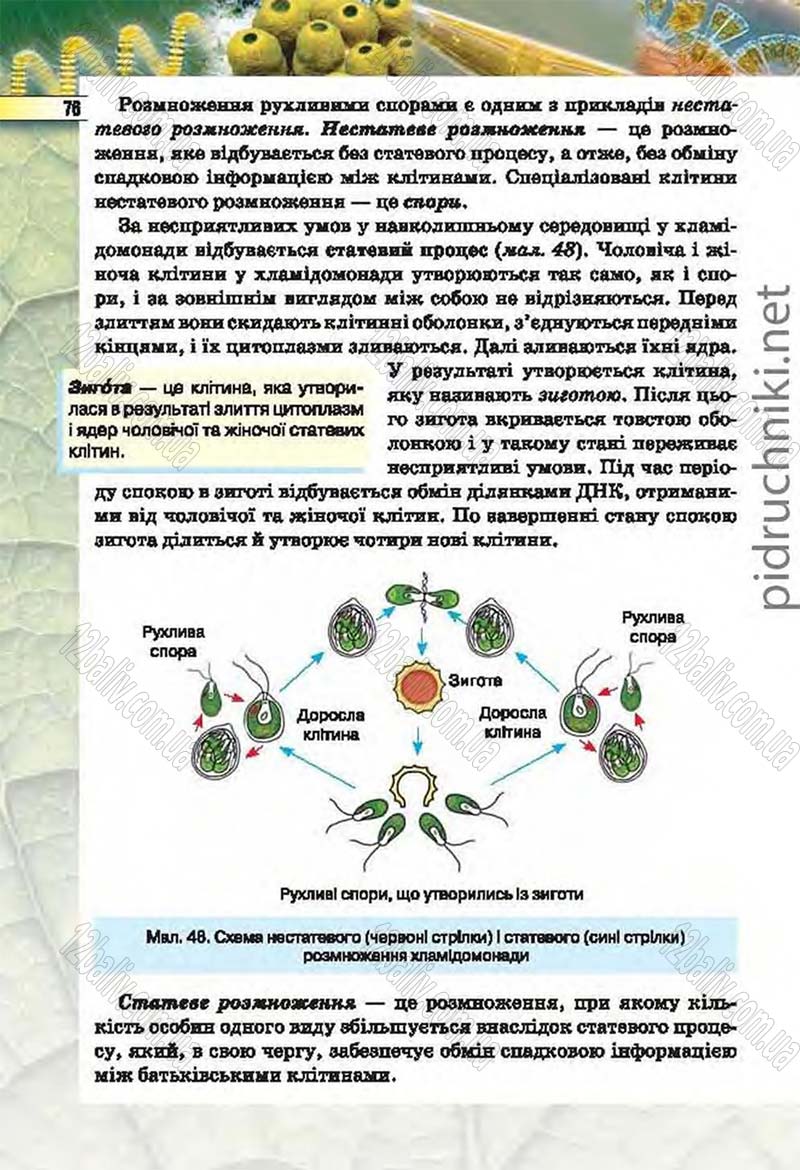 Сторінка 76 - Підручник Біологія 6 клас Костіков 2014 - скачати онлайн