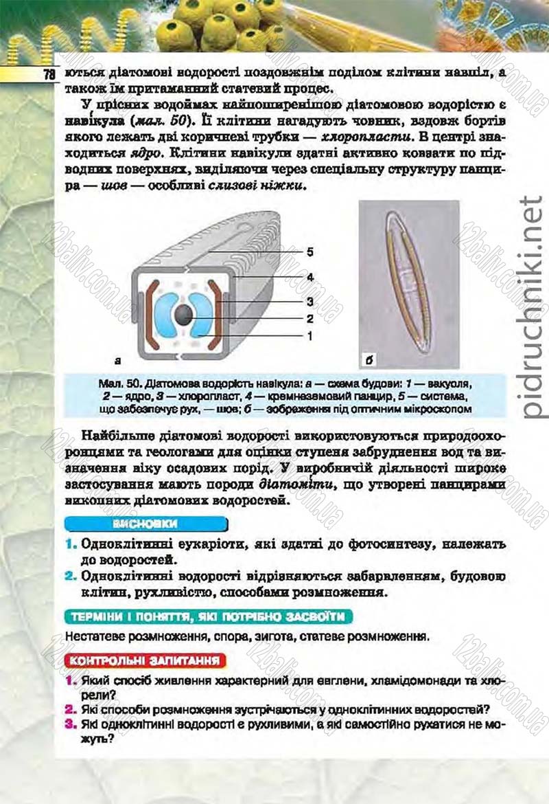 Сторінка 78 - Підручник Біологія 6 клас Костіков 2014 - скачати онлайн