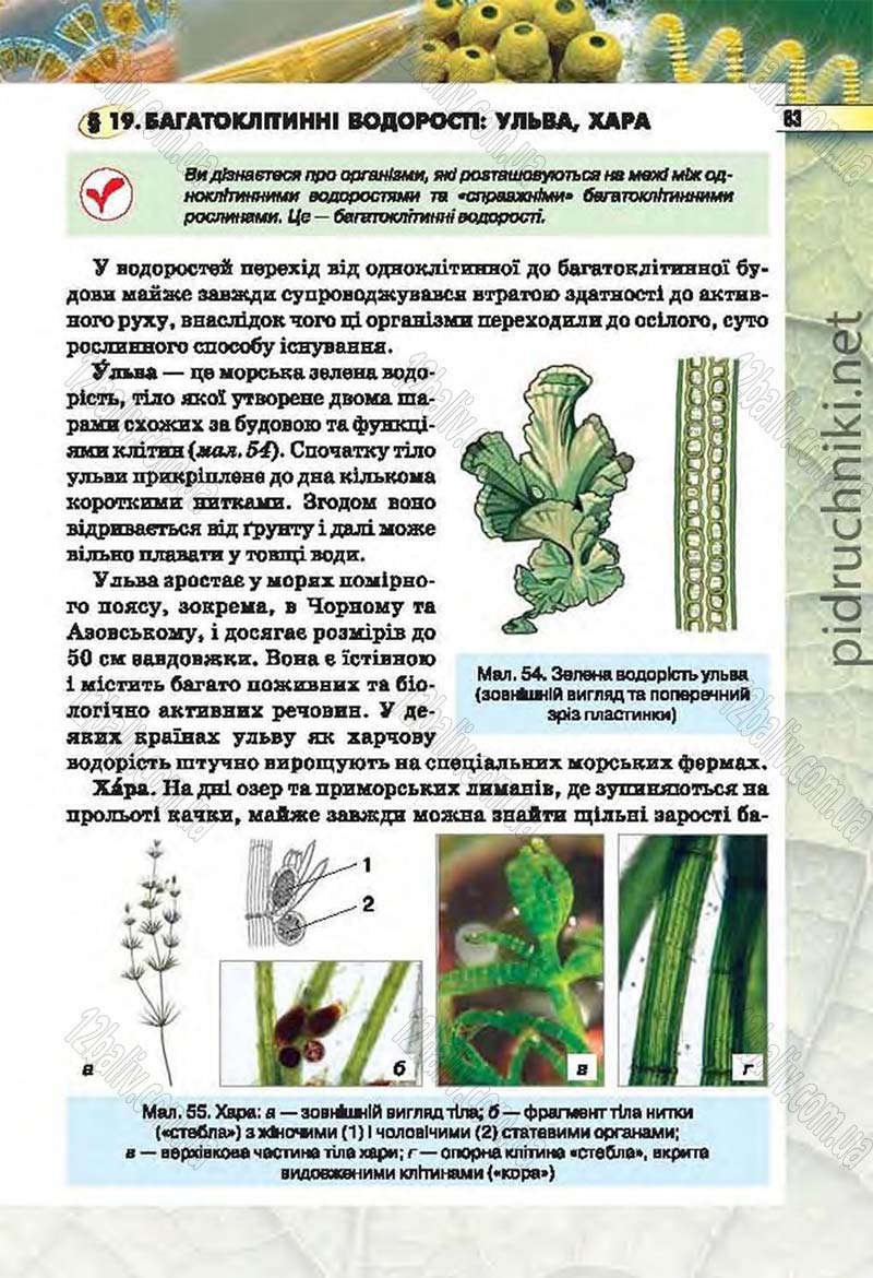 Сторінка 83 - Підручник Біологія 6 клас Костіков 2014 - скачати онлайн