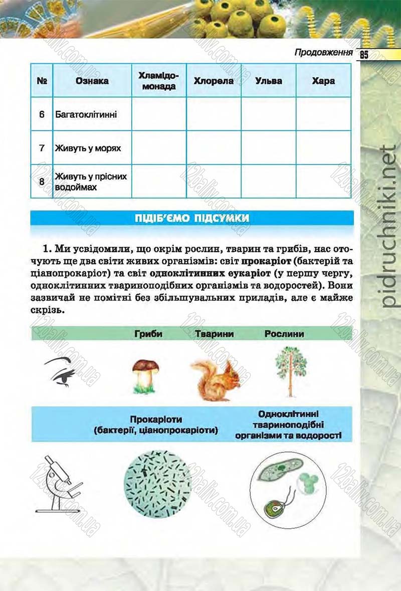 Сторінка 85 - Підручник Біологія 6 клас Костіков 2014 - скачати онлайн