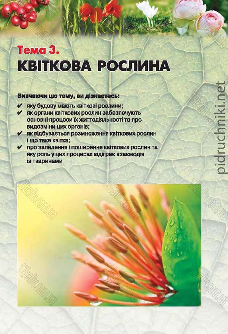 Сторінка 89 - Підручник Біологія 6 клас Костіков 2014 - скачати онлайн