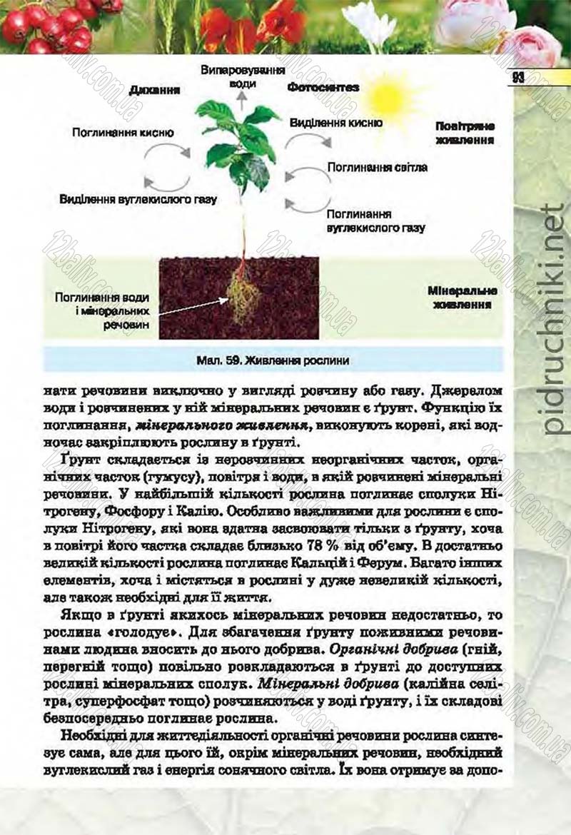 Сторінка 93 - Підручник Біологія 6 клас Костіков 2014 - скачати онлайн