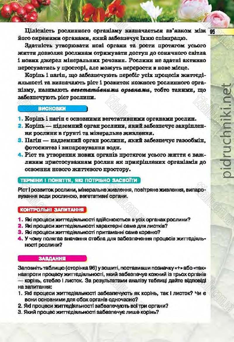 Сторінка 95 - Підручник Біологія 6 клас Костіков 2014 - скачати онлайн