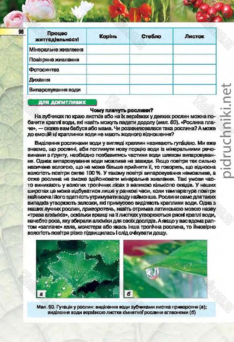 Сторінка 96 - Підручник Біологія 6 клас Костіков 2014 - скачати онлайн