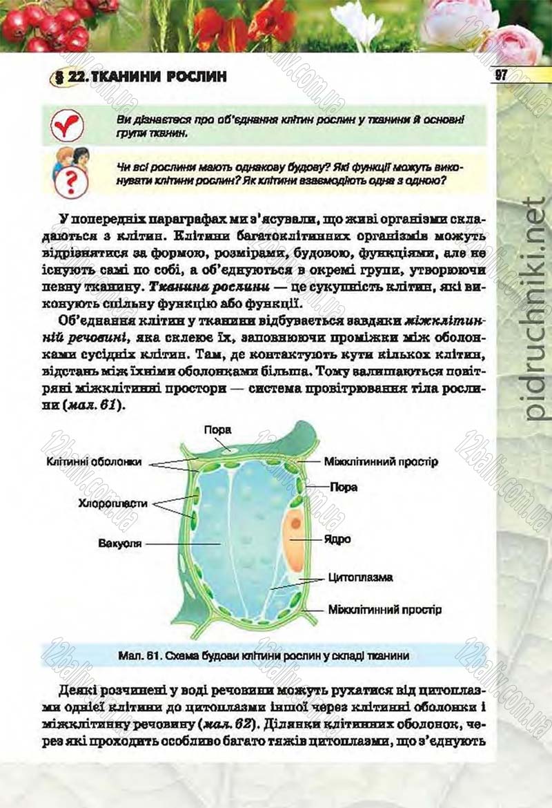 Сторінка 97 - Підручник Біологія 6 клас Костіков 2014 - скачати онлайн