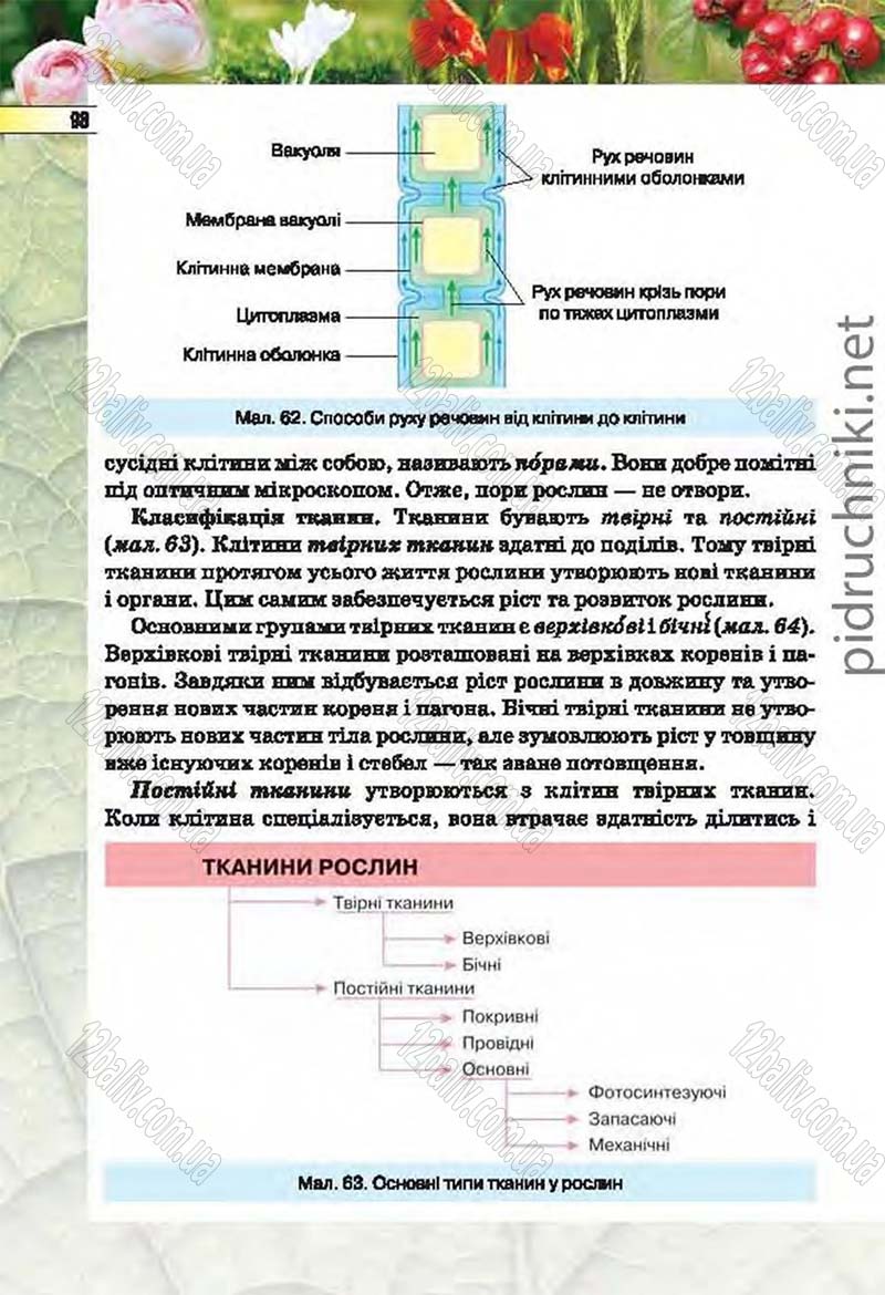 Сторінка 98 - Підручник Біологія 6 клас Костіков 2014 - скачати онлайн