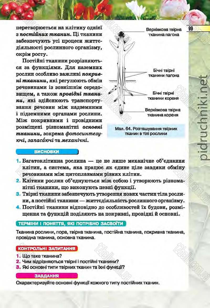 Сторінка 99 - Підручник Біологія 6 клас Костіков 2014 - скачати онлайн