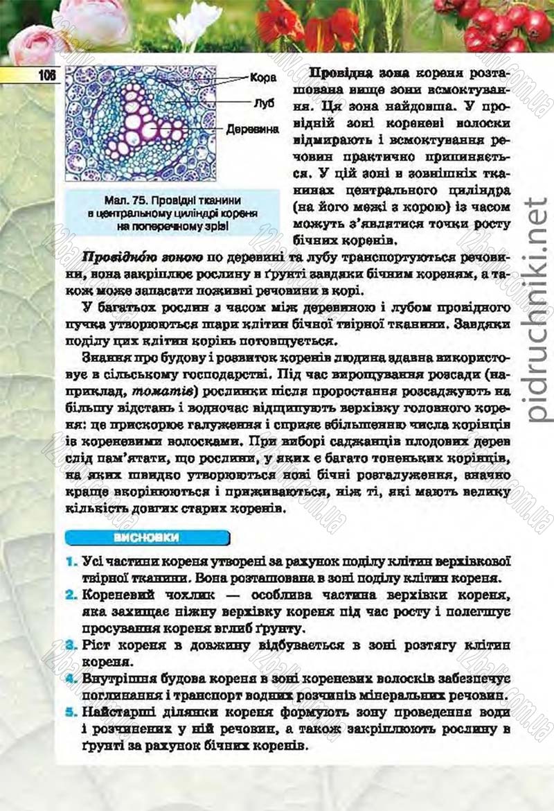 Сторінка 106 - Підручник Біологія 6 клас Костіков 2014 - скачати онлайн