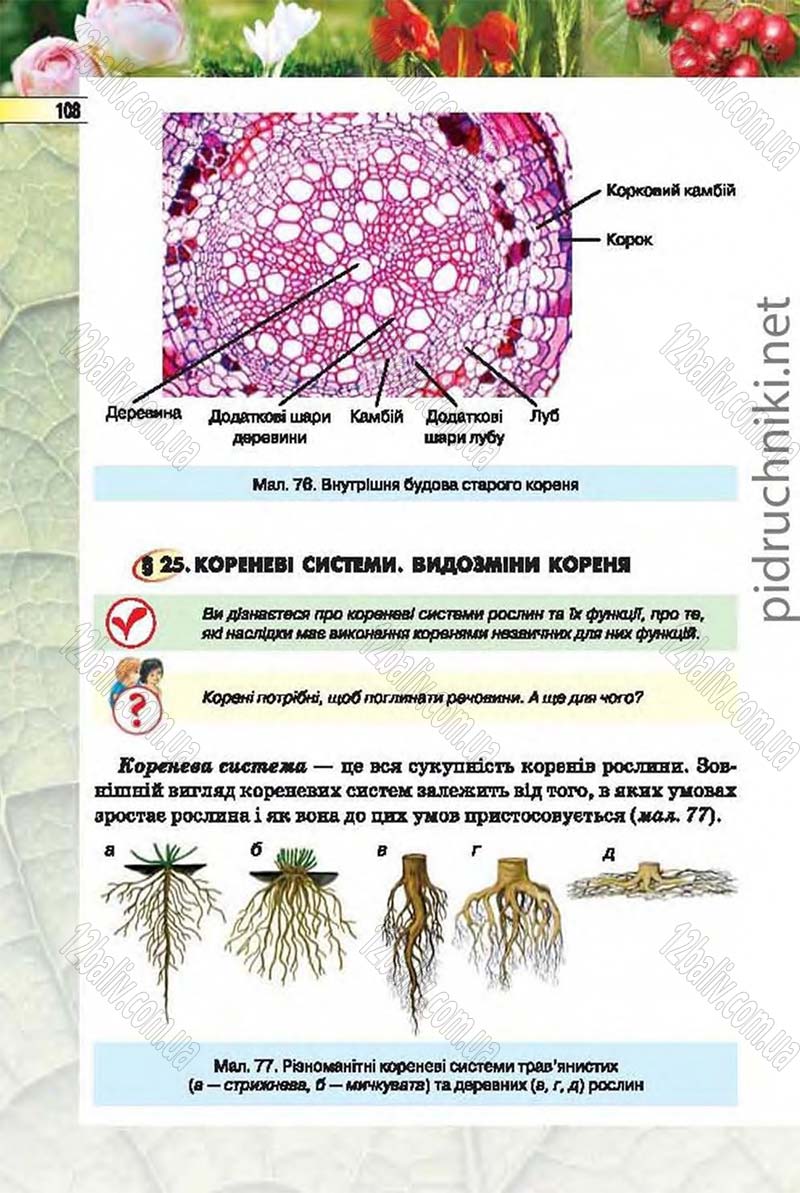 Сторінка 108 - Підручник Біологія 6 клас Костіков 2014 - скачати онлайн