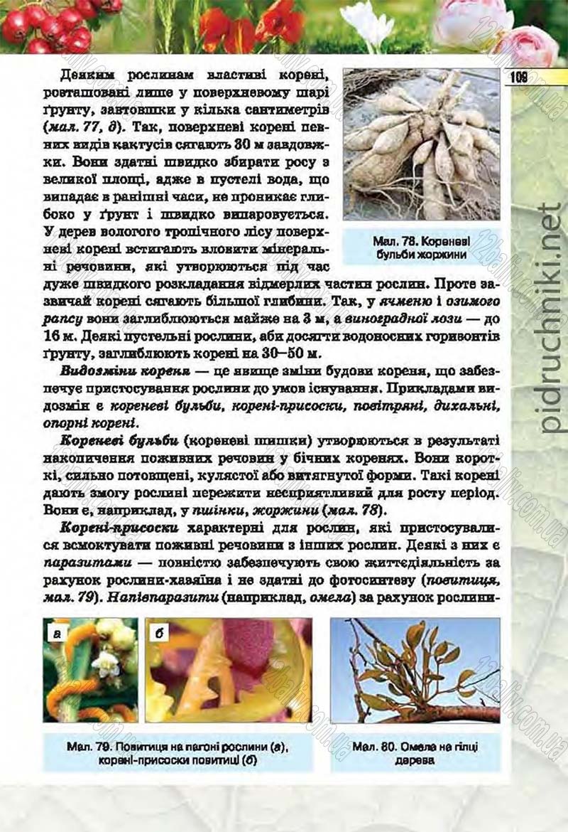 Сторінка 109 - Підручник Біологія 6 клас Костіков 2014 - скачати онлайн