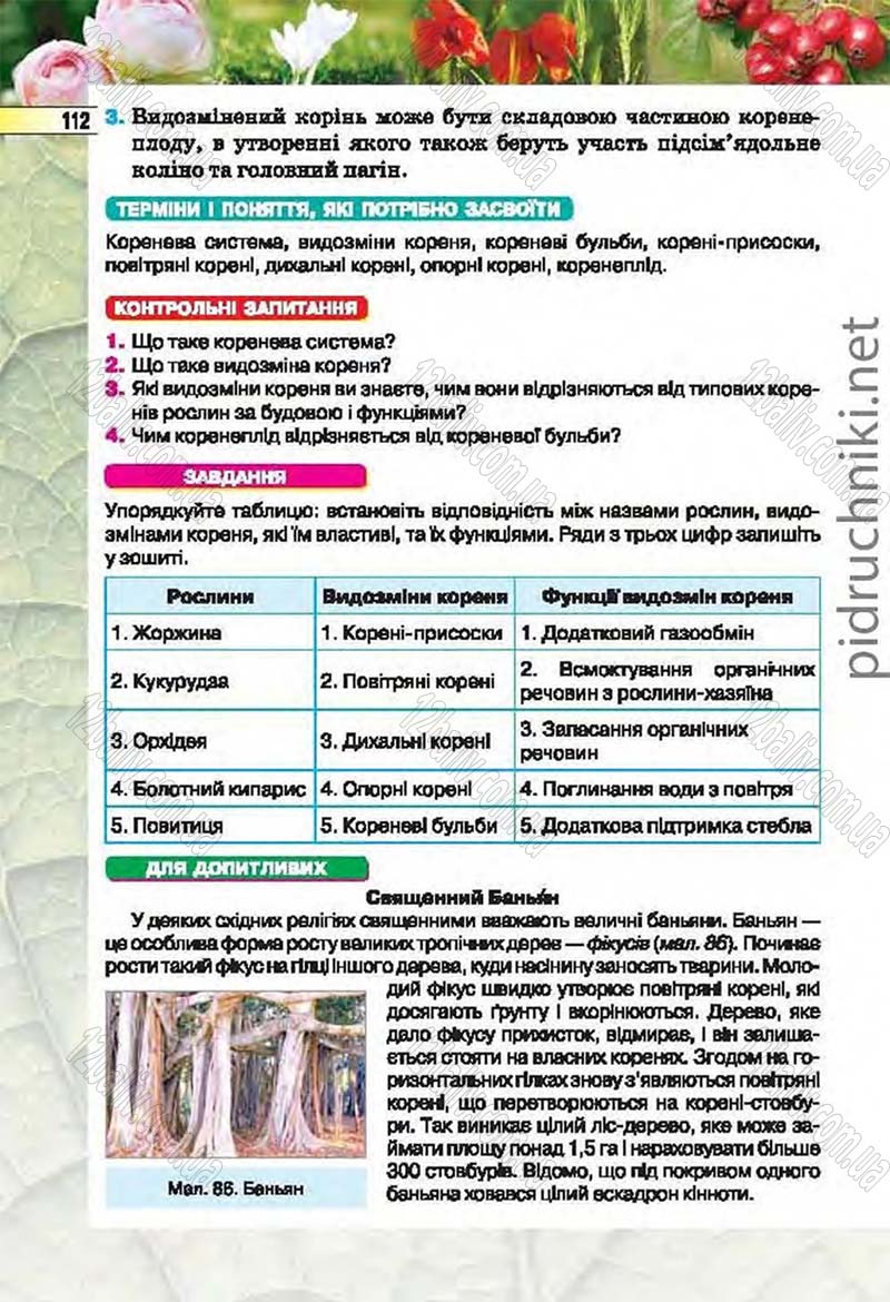 Сторінка 112 - Підручник Біологія 6 клас Костіков 2014 - скачати онлайн