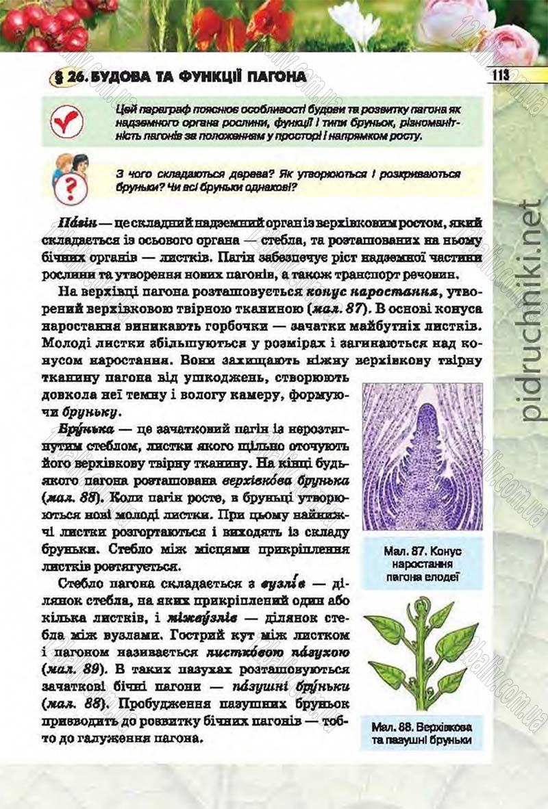 Сторінка 113 - Підручник Біологія 6 клас Костіков 2014 - скачати онлайн