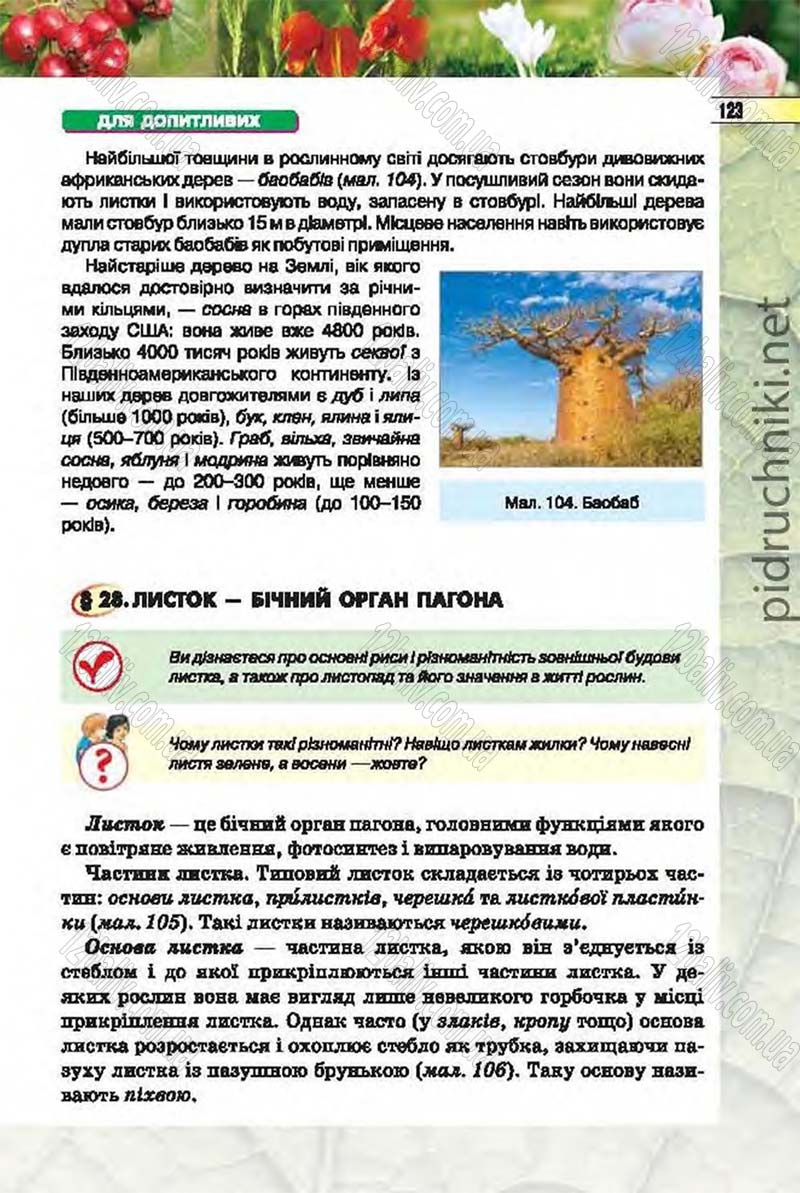 Сторінка 123 - Підручник Біологія 6 клас Костіков 2014 - скачати онлайн