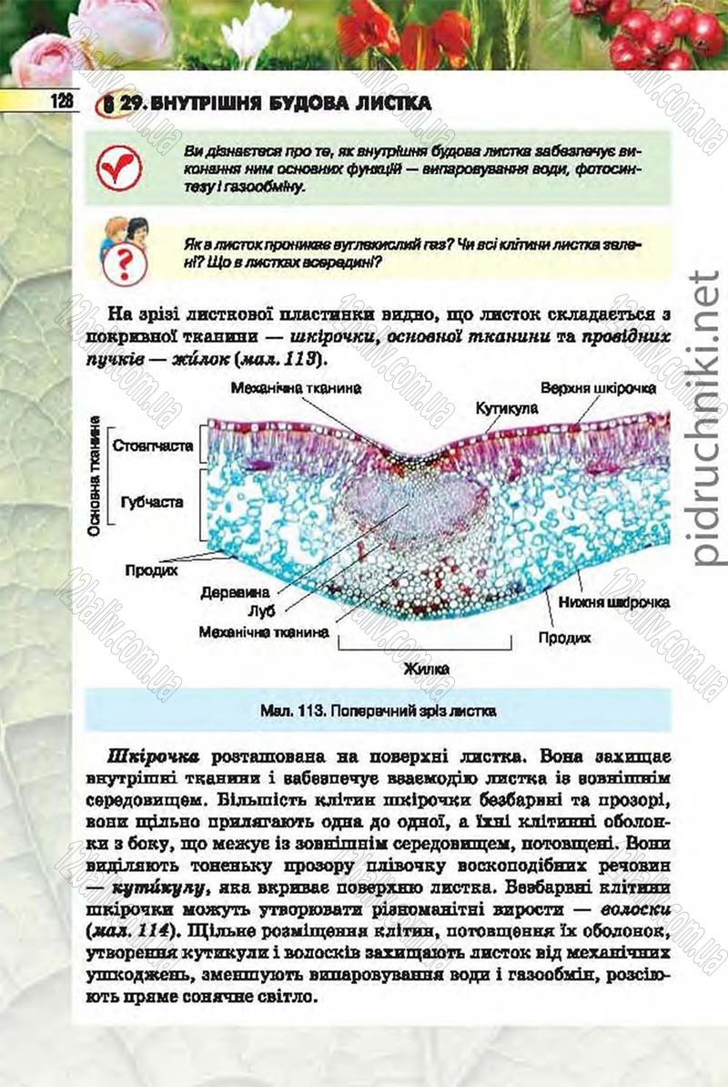 Сторінка 128 - Підручник Біологія 6 клас Костіков 2014 - скачати онлайн