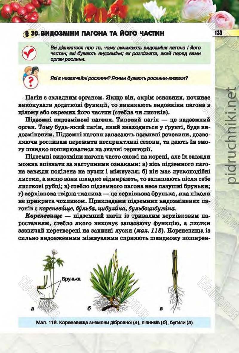 Сторінка 133 - Підручник Біологія 6 клас Костіков 2014 - скачати онлайн