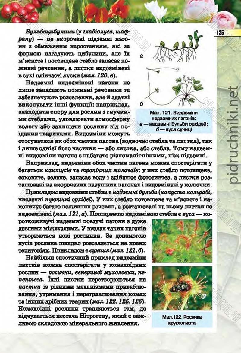 Сторінка 135 - Підручник Біологія 6 клас Костіков 2014 - скачати онлайн