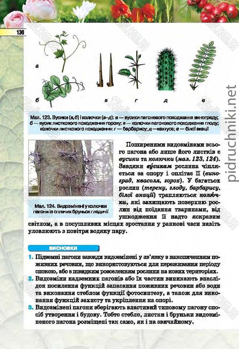 Сторінка 136 - Підручник Біологія 6 клас Костіков 2014 - скачати онлайн