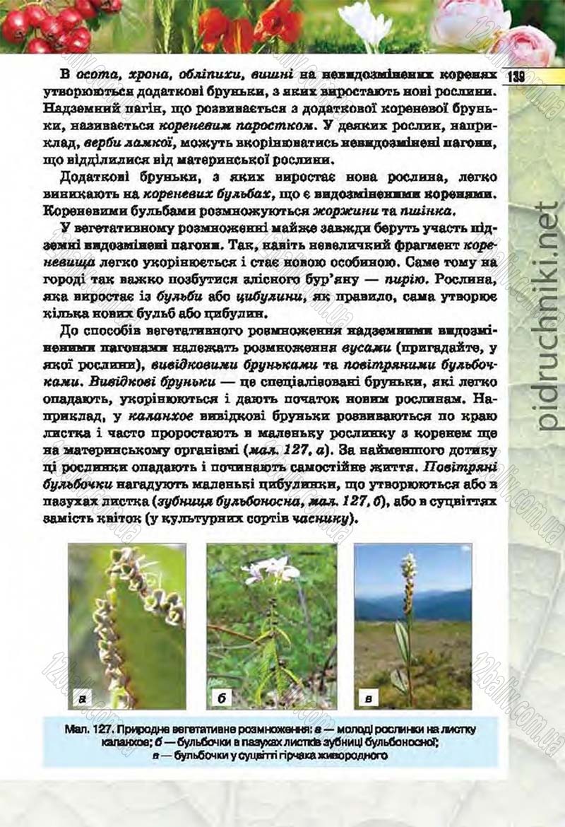 Сторінка 139 - Підручник Біологія 6 клас Костіков 2014 - скачати онлайн
