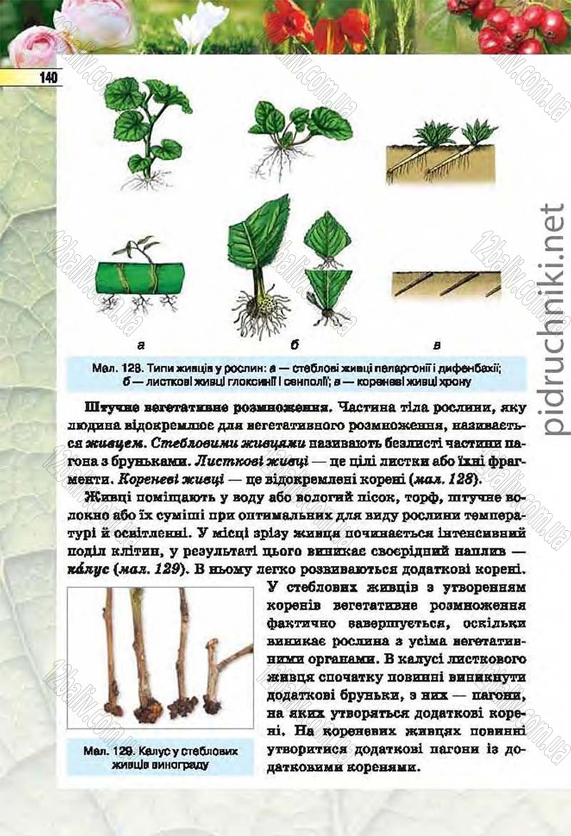 Сторінка 140 - Підручник Біологія 6 клас Костіков 2014 - скачати онлайн